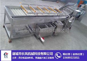 枸杞翻浪清洗機(jī)生產(chǎn)廠家詢問(wèn)報(bào)價(jià)
